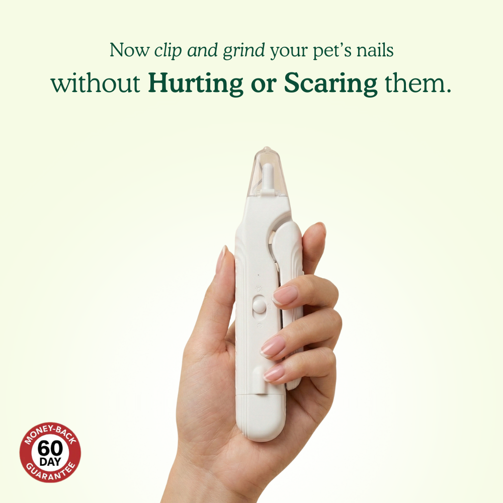 Pet Nail Grinder & Clippers