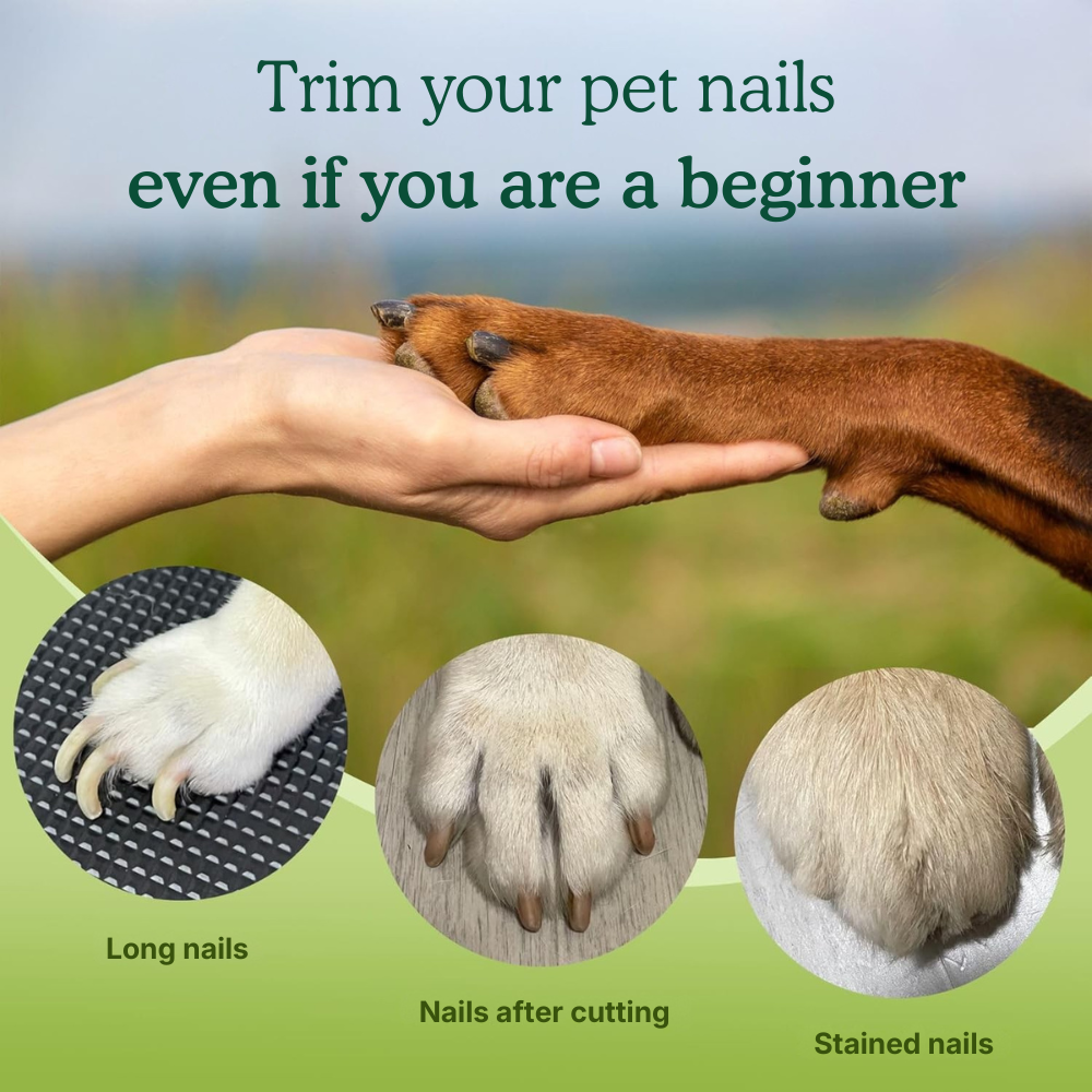 Pet Nail Grinder & Clippers